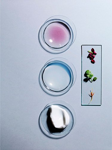 L Oreal Paris Mascarilla Mascarilla Geranio Botanicals 000 3600523371433 Texture